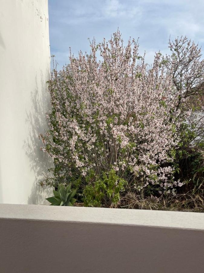 Casa Da Aldeia - Guest House Одиашере Экстерьер фото